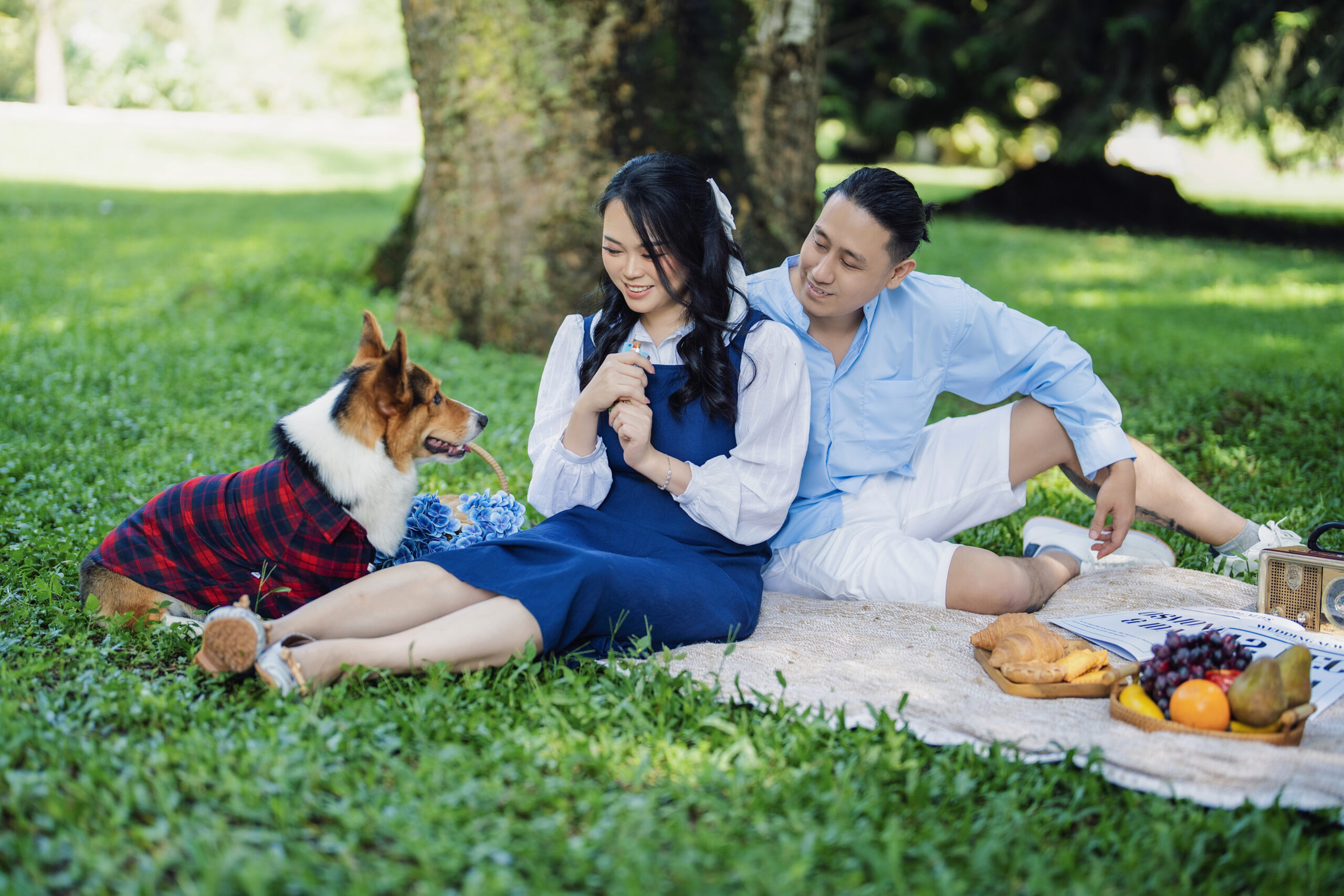 Joyful Prewedding Memories with Your Pet in Bedugul Joyful Prewedding Memories with Your Pet in Bedugul